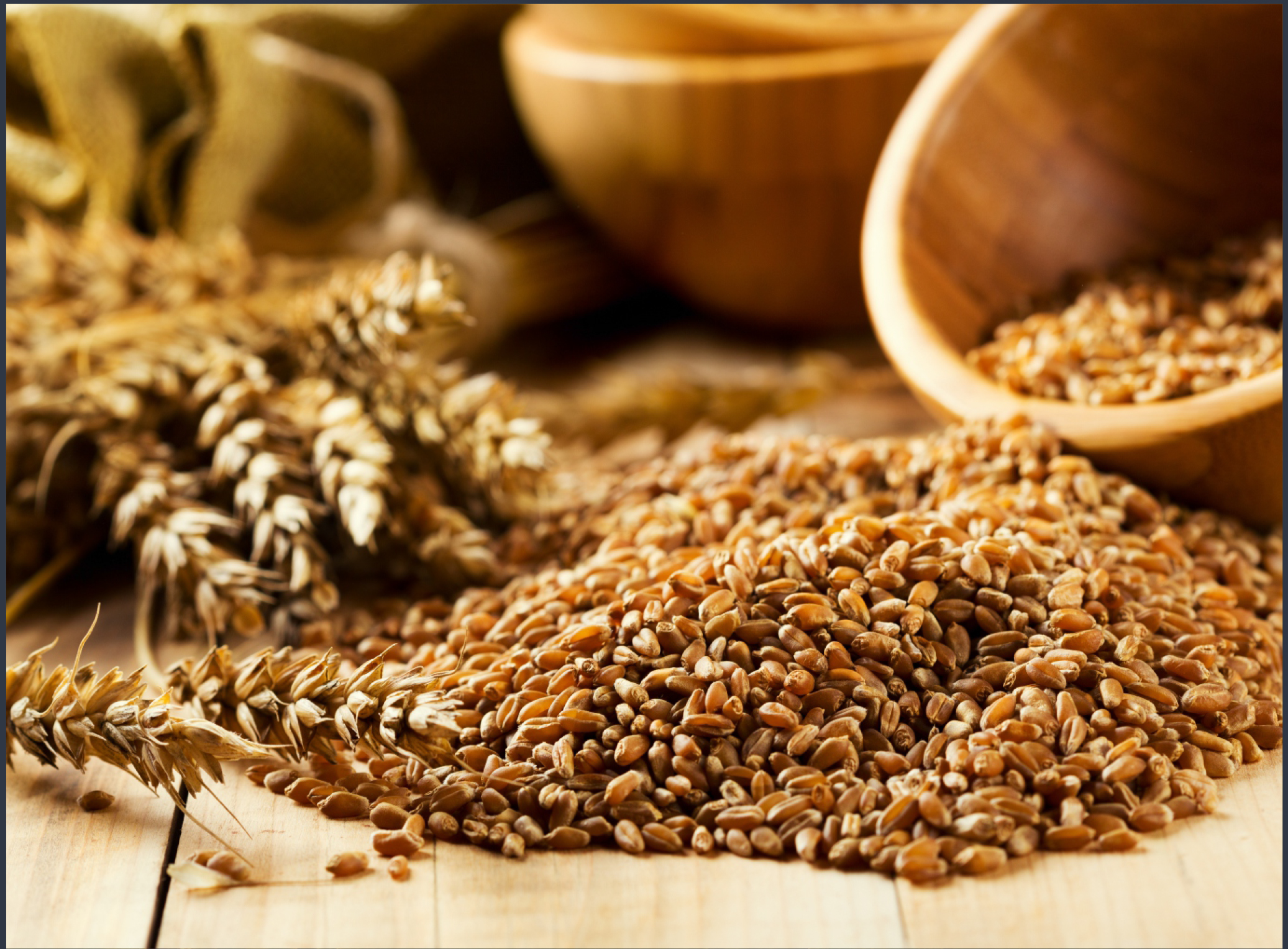 MILLING GRAINS TECHNOLOGIES